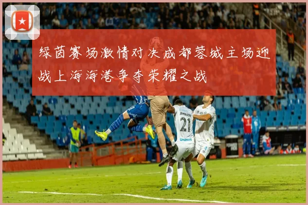 绿茵赛场激情对决成都蓉城主场迎战上海海港争夺荣耀之战