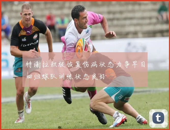 特谢拉积极恢复伤病状态力争早日回归球队训练状态良好