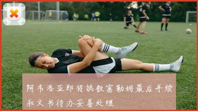 阿韦洛亚即将执教富勒姆最后手续和文书待办妥善处理